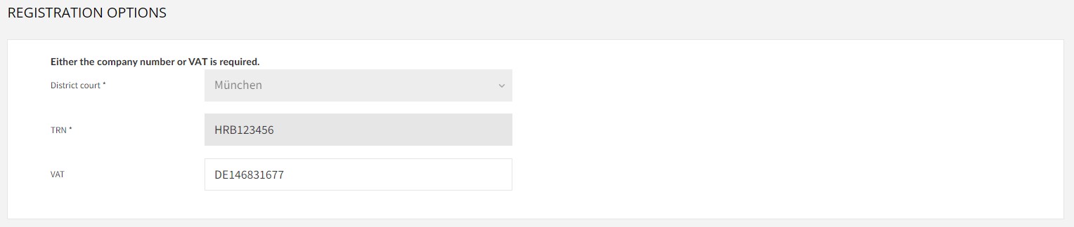 EN_Company-Info_Registration-Options.jpg