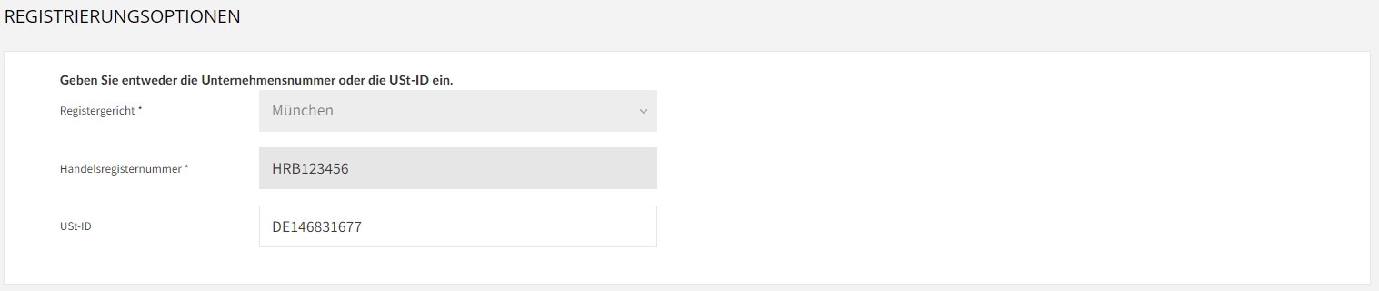 DE_Company-Info_Registration-Options.jpg