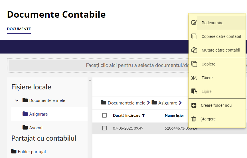 actiuni_documente_contabile.png