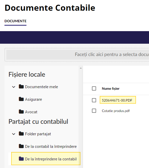 document_copiat_contabil.png